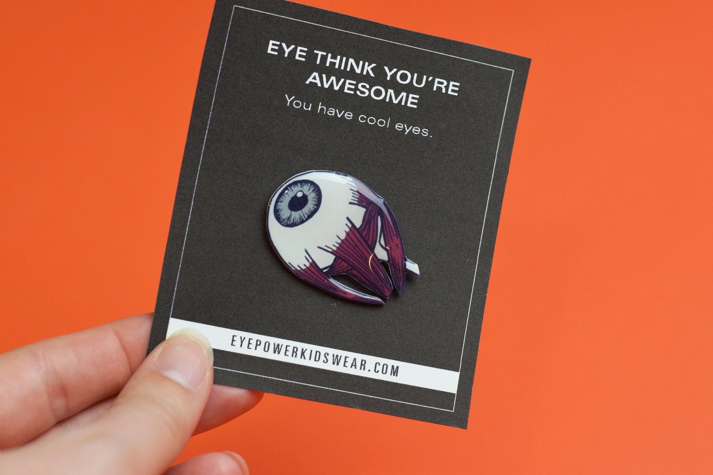 Eye anatomy pin, brooch, Optometry Gift, Optometrist, Eye Dr Gift, Eye, Doctor, Glasses pin,