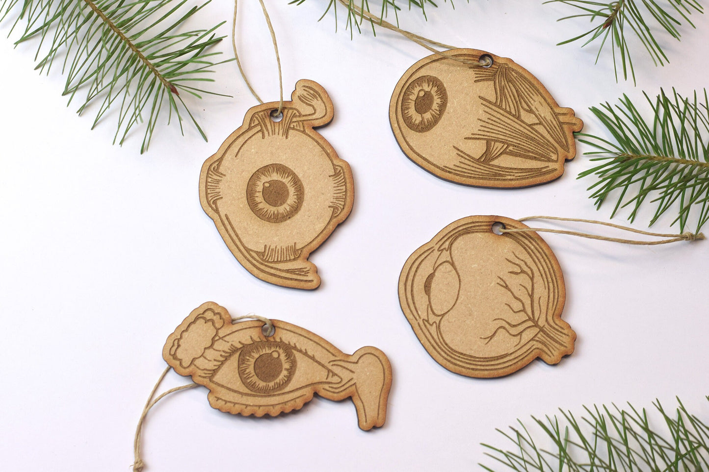 Eye Anatomy Christmas ornament Set of 4, Optometry ornament, optometrist, Eye doctor, Optometry gift, Eye Power, eye ornament, eye gift, eye