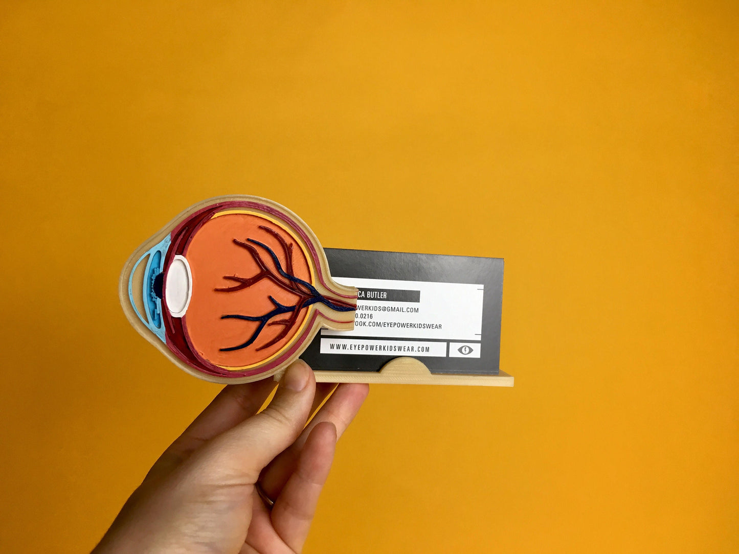 Eye Anatomy Business card holder
