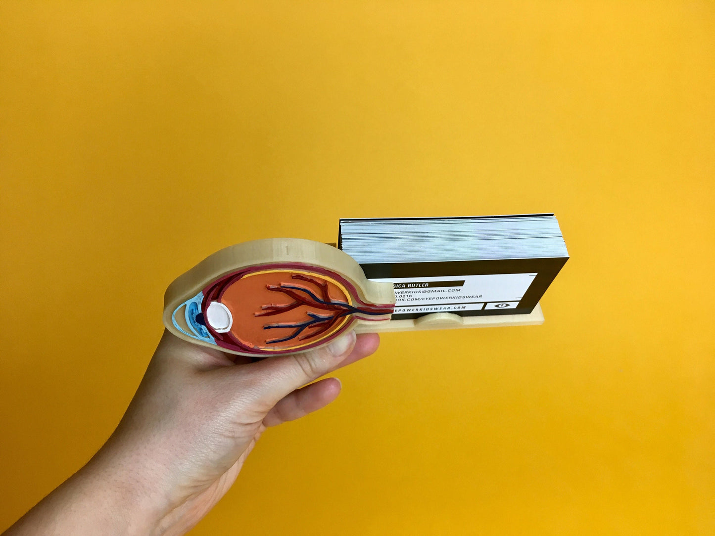 Eye Anatomy Business card holder