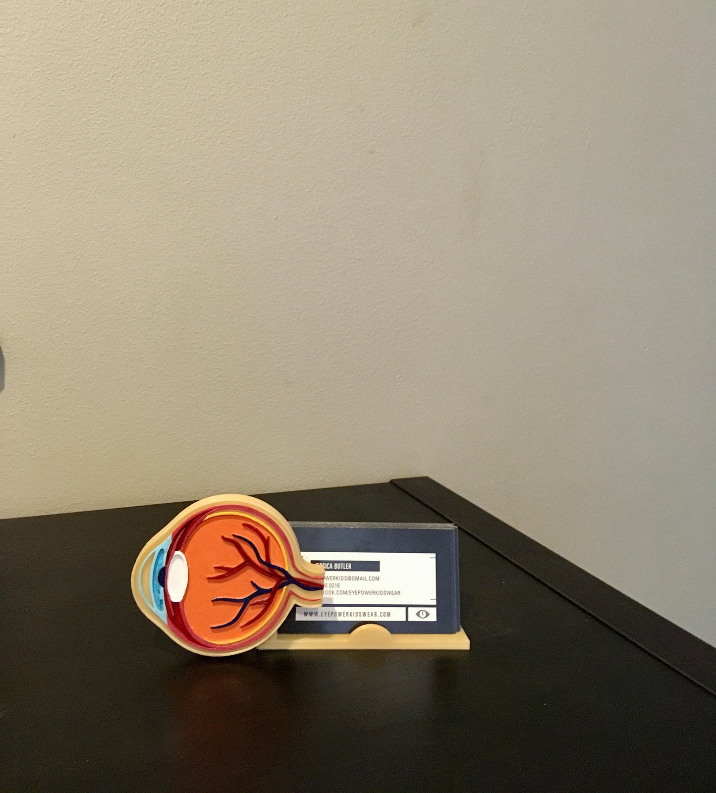 Eye Anatomy Business card holder