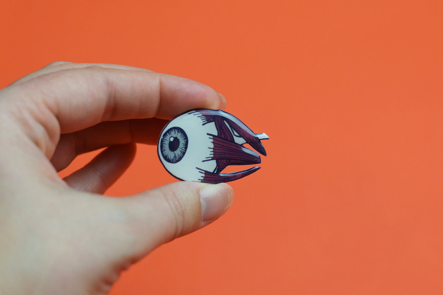 Eye anatomy pin, brooch, Optometry Gift, Optometrist, Eye Dr Gift, Eye, Doctor, Glasses pin,