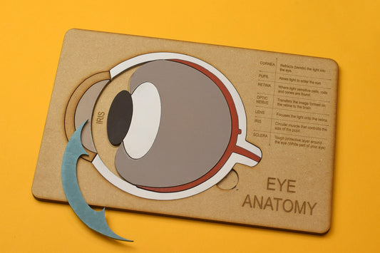 Eye Anatomy Wood Puzzle, Optometry gift, Optometrist, Eye doctor, Eye doctor toy, Optometry toy, Eye Power,  eye anatomy, eye toy, eye gift